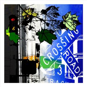 Crossing road